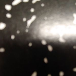 Meet your Posher, Rylee